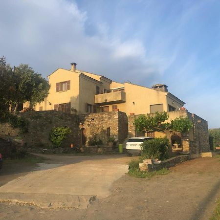 Chambres D'Hotes Casa Pruneta แซ็งต์-โฟลร็องต์ ภายนอก รูปภาพ